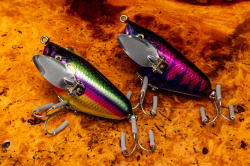 Buddy AND Dog`s『Splash Crawl(スプラッシュクロール)』