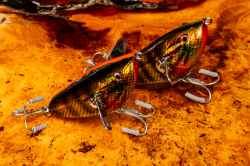 Buddy AND Dog`s『Splash Crawl(スプラッシュクロール)』