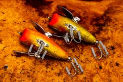 Buddy AND Dog`s『Splash Crawl(スプラッシュクロール)』