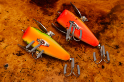 Buddy AND Dog`s『Splash Crawl(スプラッシュクロール)』