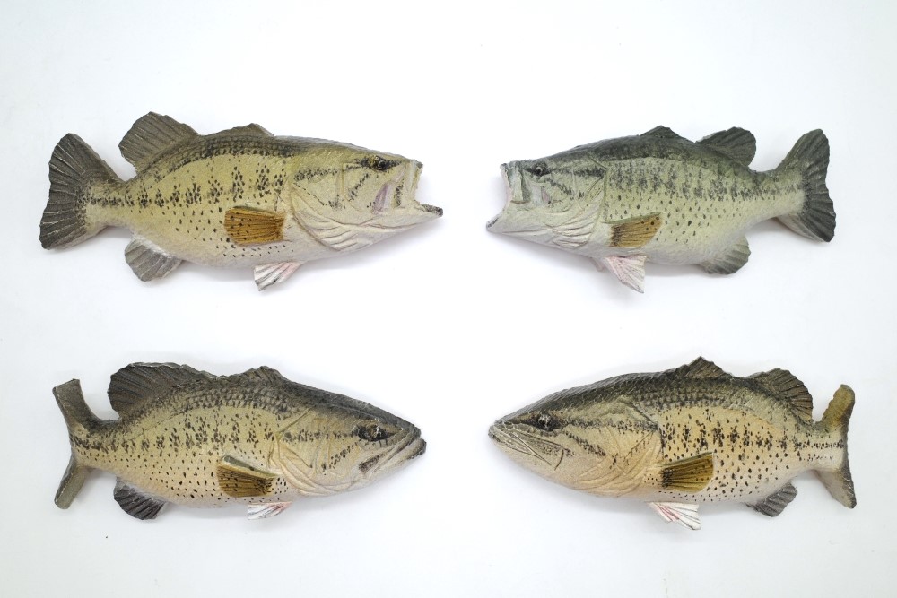 nagai-bass2024-11.JPG