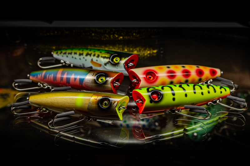 ポンズ新! ponzoo-1.jpg